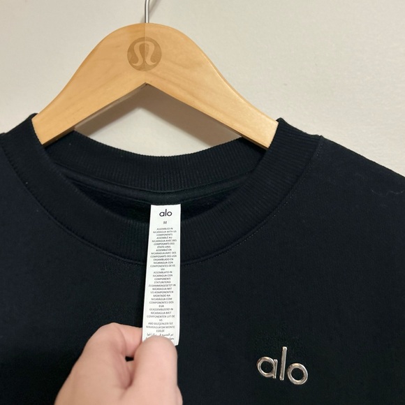 ⭐️ Alo Accolade Crew Neck Pullover⭐️ - Picture 4 of 4